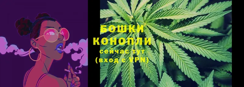 Шишки марихуана Bruce Banner  купить наркотик  Новороссийск 